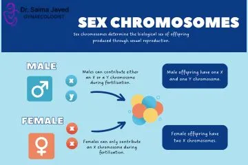 best lady gynecologist in Kolkata, maternity check up,Preventing Chromosomal Abnormalities in Pregnancy